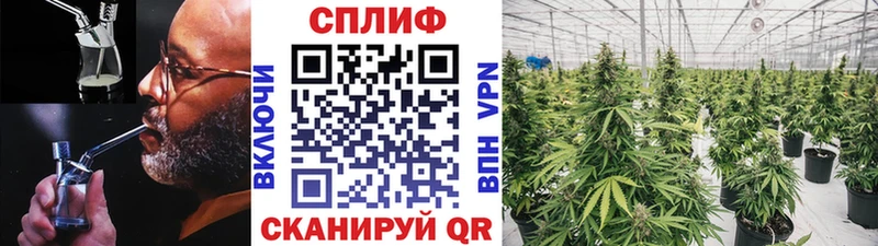 Купить наркотики сайты Железногорск-Илимский А ПВП Конопля COCAIN