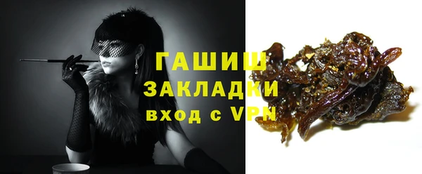 стаф Каменка