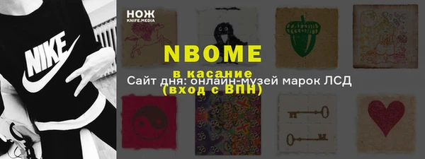 стаф Каменка