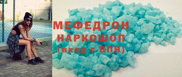 стаф Каменка