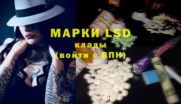 стаф Каменка