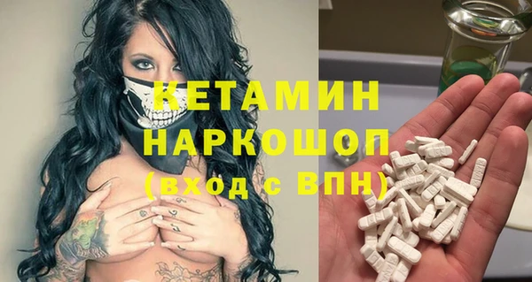 стаф Каменка