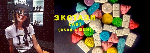 стаф Каменка