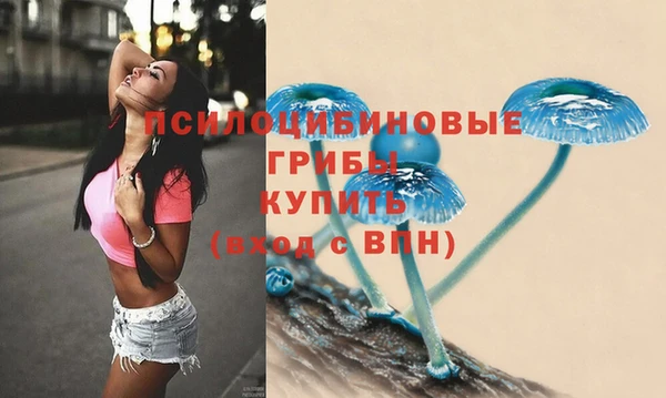 кокаин Каменногорск