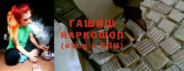 стаф Каменка