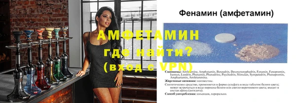 стаф Каменка